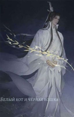 Белый Кот и одна Черная Кошка