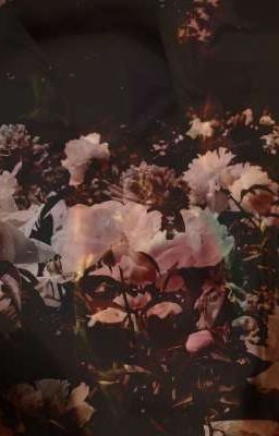 Крики мертвых студентов