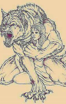 Интеллигент 