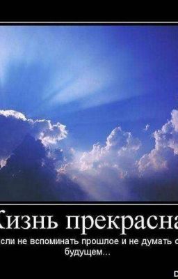 Чисто жизнь