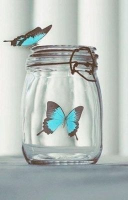 Мое прекрасное несчастье 