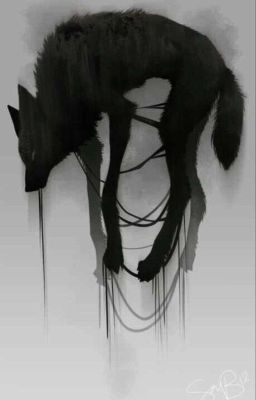 Койет И Заяц 