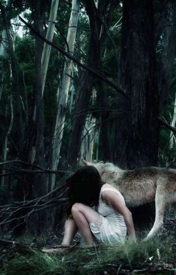 ЗОВ ОБОРОТНЯ 