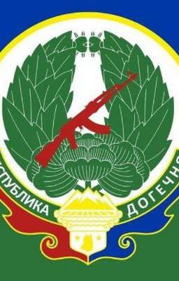 Догечня 2008-мой