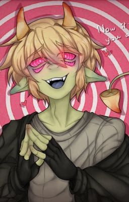 🍄Mushroom Oasis🍄