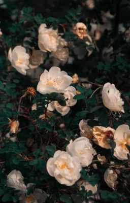 Моя малышка♡︎♡︎♡︎