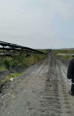 За гранью понимания