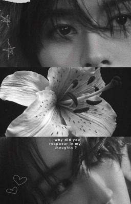 покупка или смысл жизни?