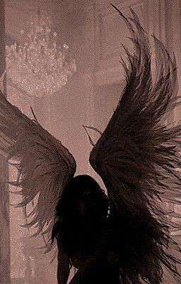 Все против всех. 