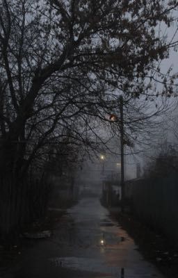 Убийство в городе Еленск 