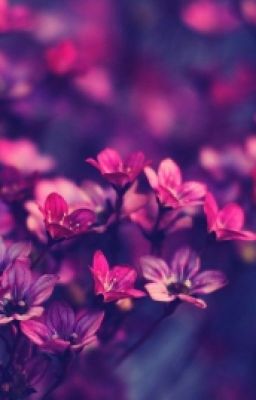 Волшебный город.