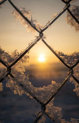 Кроваво-алый снег.