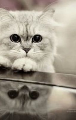 Человек может изменить Вам, и изменить Вас!