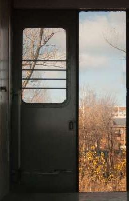 Что почитать на Wattpad? 