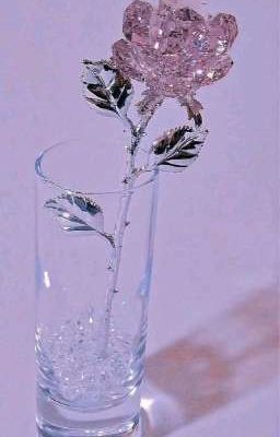 Жизнь нас учит тому 