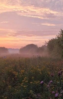 я всё помню