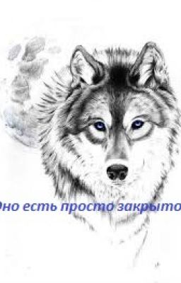 Оно есть, просто закрыто!