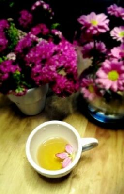 Чай с ромашками