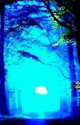 Волшебный лес.