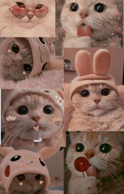 Прятки на желание🔞🔞