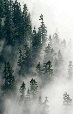 битва за планету лонгаун 