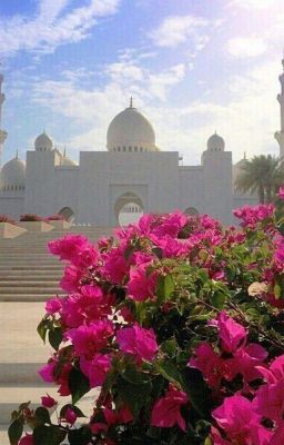 Дневник Мусульманки.