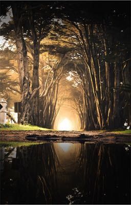 Вдохновение от жизни Фантастики 