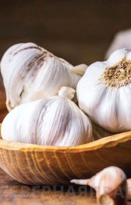 Вампирский ералаш