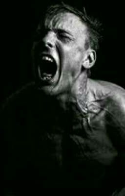 Друзья по жизни