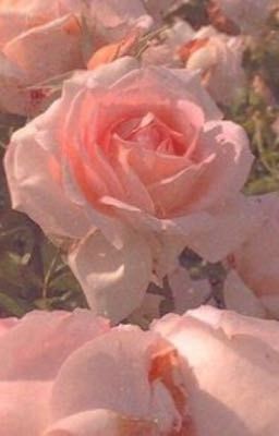 🌸💦ПеСьИнКи💦🌸