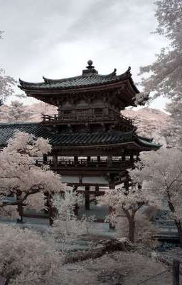 Шелковый путь во Времени.