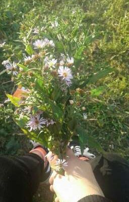 от врага в любимого человека