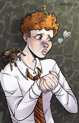 Предыстория отношений Нины Саламандер и Фреда Уизли