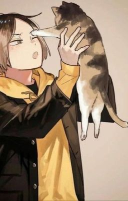 Всё началось с тёмного переулка...