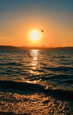 3/Хроники Нарнии. Покоритель Зари.