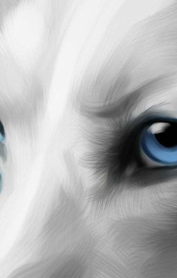 Приключение Филипа.