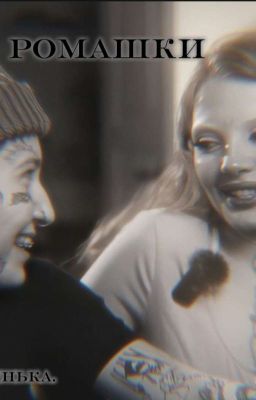 ромашки.// виларья