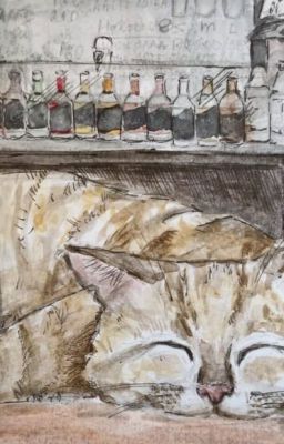 Кот на столе