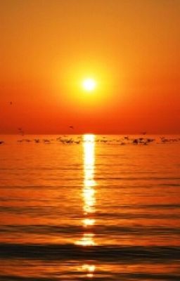 Жёлтые розы - к разлуке.