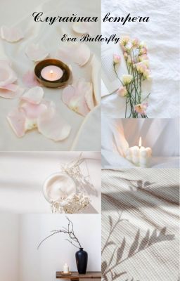 Случайная встреча