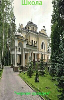 Школа "Чёрная орхидея"