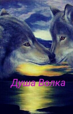 Душа Волка.