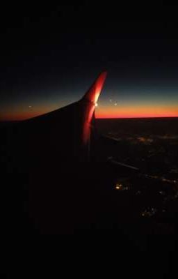 История одной сумасшедшей