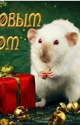 Сказка про Артёма и Лолу 