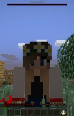 Жизнь В Майне