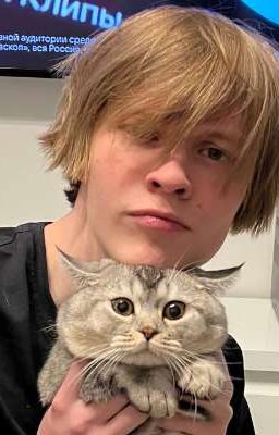 серая мышка 