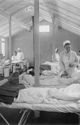 Эпидемия 1984 года