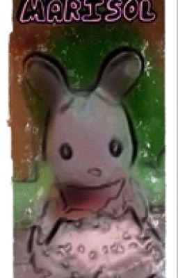  Истории о Марисоль