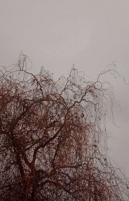 Второй шанс 