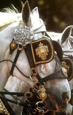 Хроники Нарнии 🦁🐾 ,🛡⚔ ,🏹📯 ,🏮🗡 ,💘🗡, ~🖤💙💜💛~